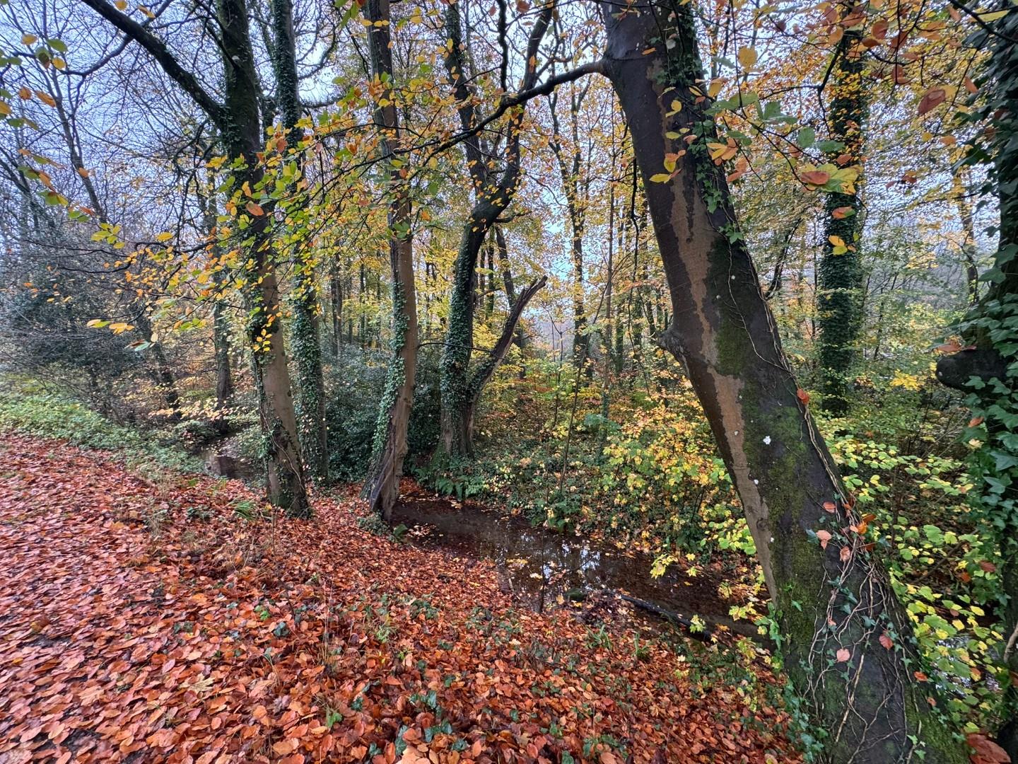 Approximately. 1.95 acres of Woodland Miskin, Pontyclun, CF72 8PE